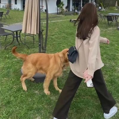 老虎吊颈